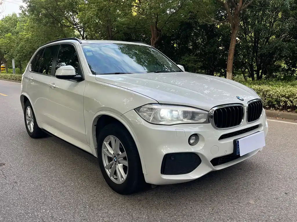 BMW X5 (Import) xDrive35i Leading Type, фото 16