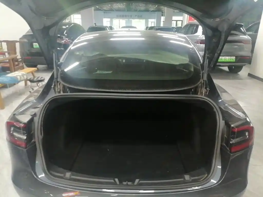 Tesla Model 3 — миниатюра 19