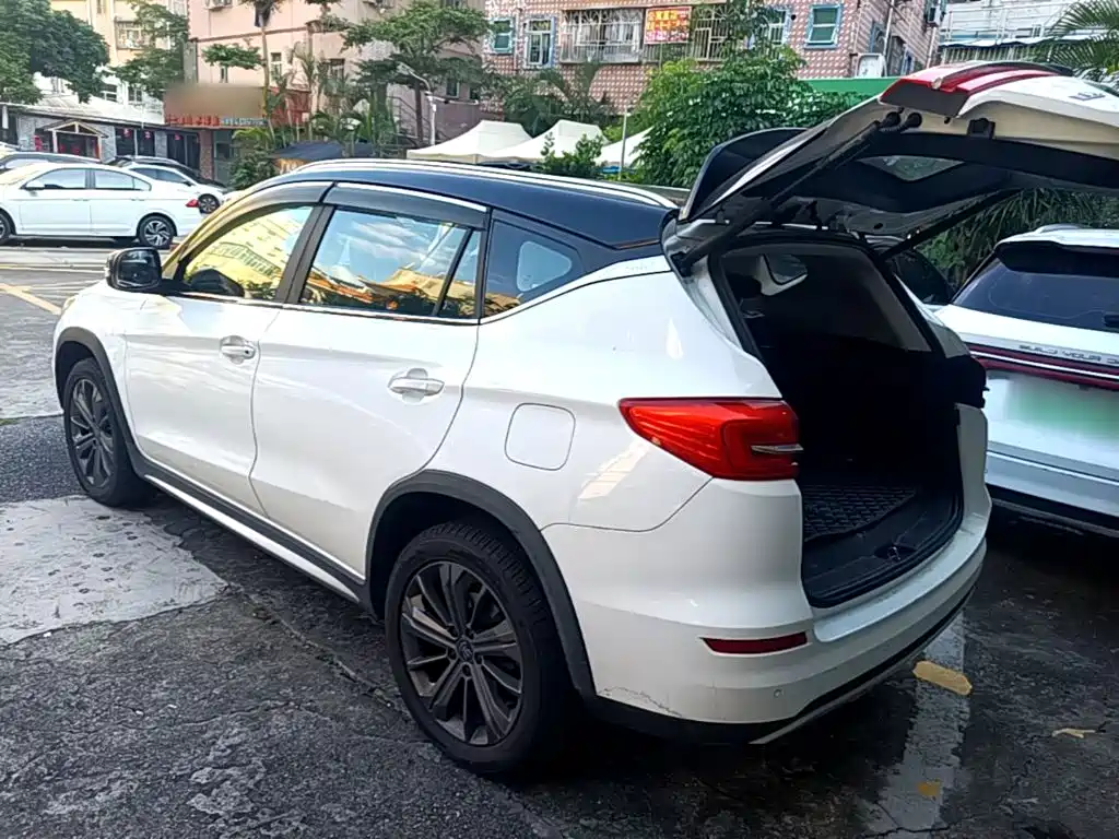 BYD New Energy — миниатюра 5