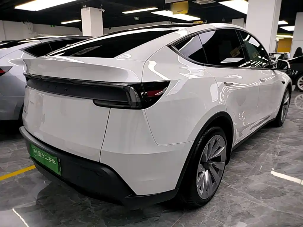 Tesla Model Y — миниатюра 7