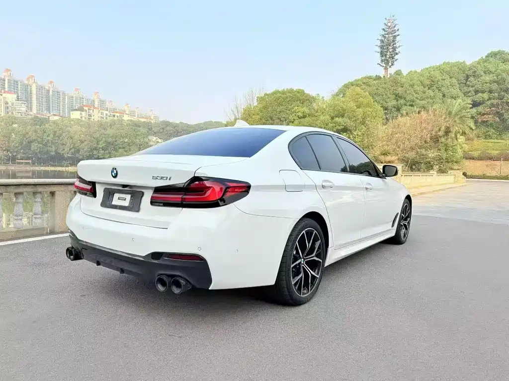 BMW 5 Series (Import) Facelift 530i M Sport Package, фото 6