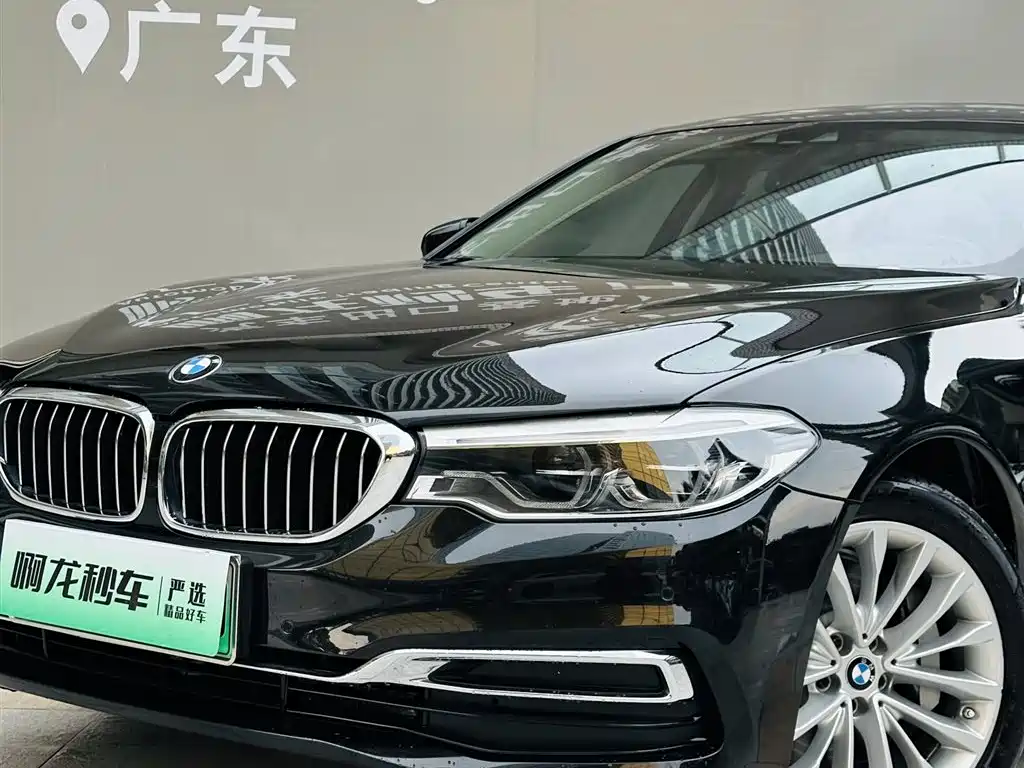 BMW 5 Series New Energy 530Le Luxury Package, фото 19