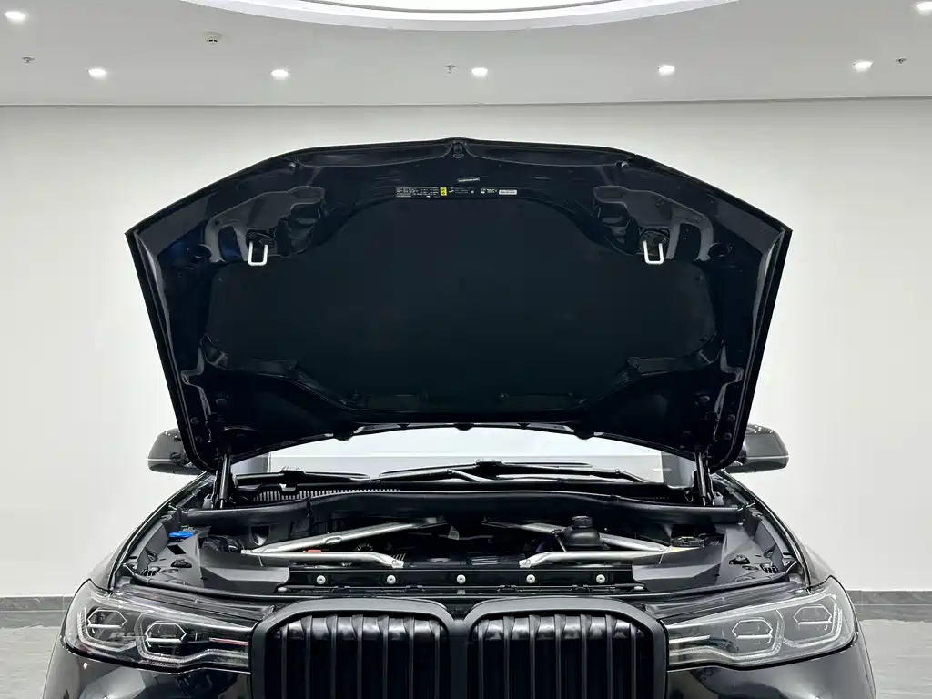 BMW X7 — миниатюра 23