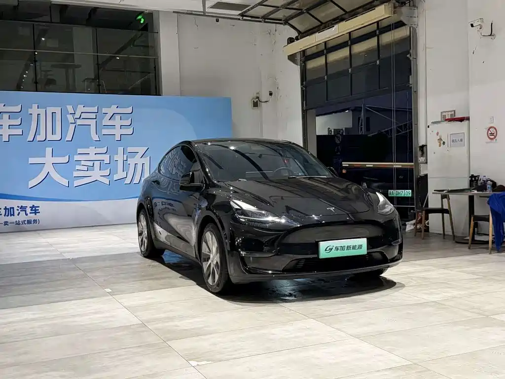 Tesla Model Y — миниатюра 3