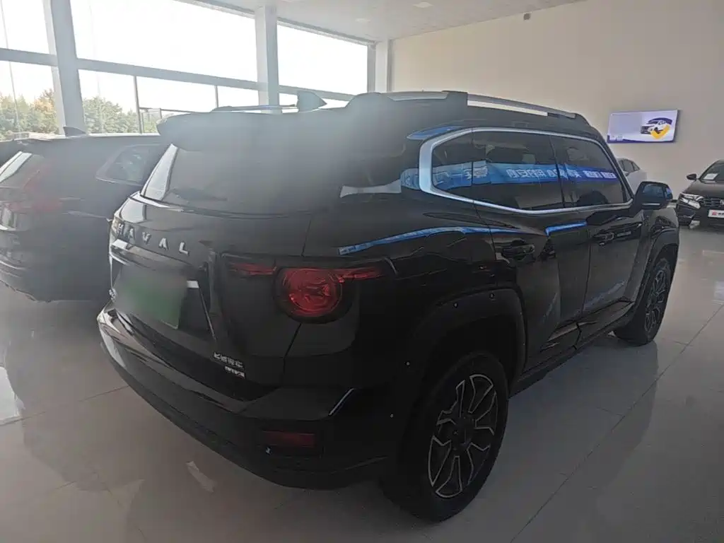 Haval Big Dog PLUS New Energy — миниатюра 7