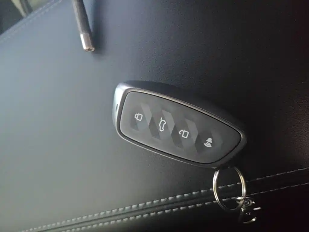Haval Big Dog PLUS New Energy — миниатюра 9