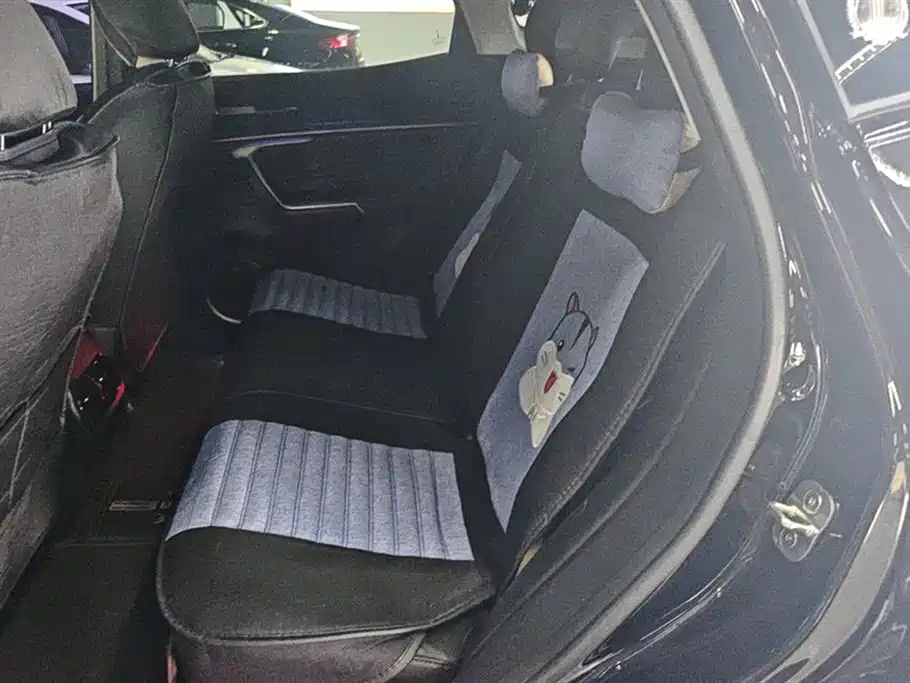 WEI PAI WEI BRAND VV5