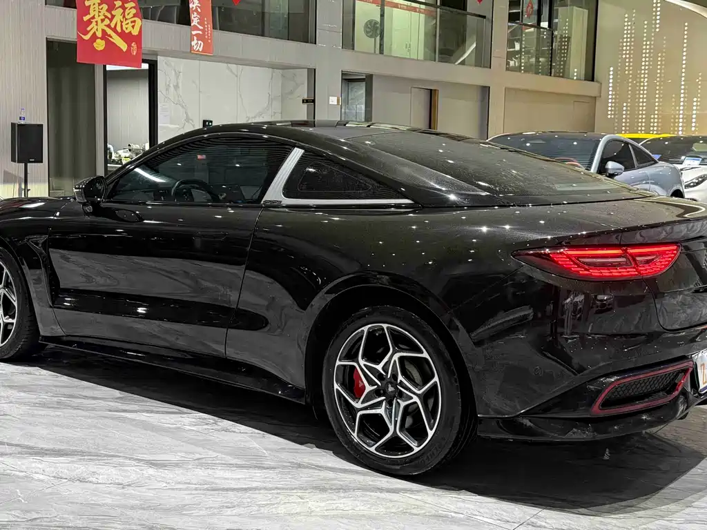 Neta Neta GT — миниатюра 25