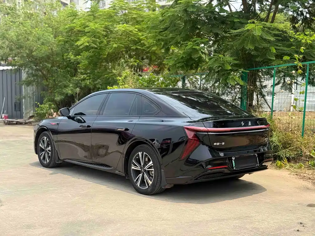 Hongqi Hongqi EH7 — миниатюра 8