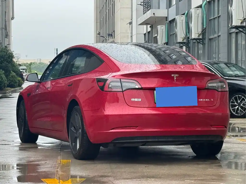 Tesla Model 3 2021 3D6