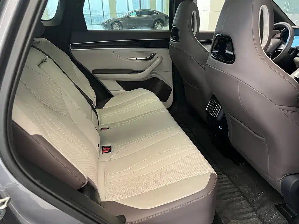 BYD SONGJIANG NEW ENERGY