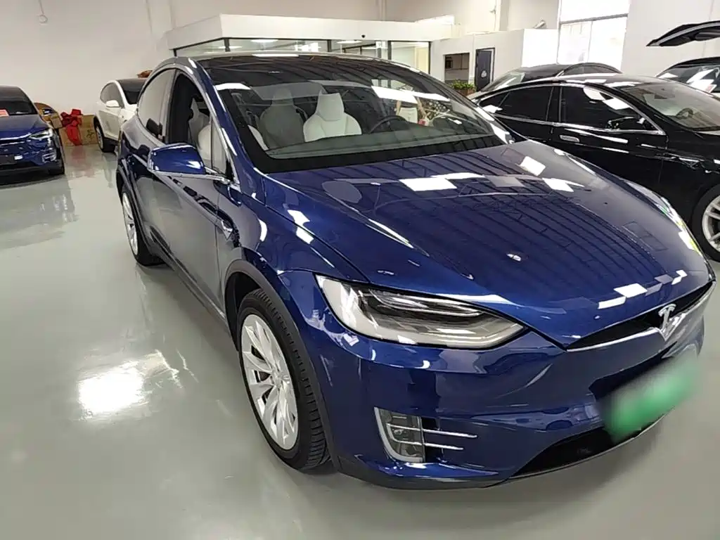 Tesla Model X 2019 Performance