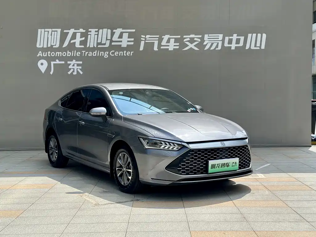 BYD Qin Plus PLUS 2024 DM-i 55KM Lead