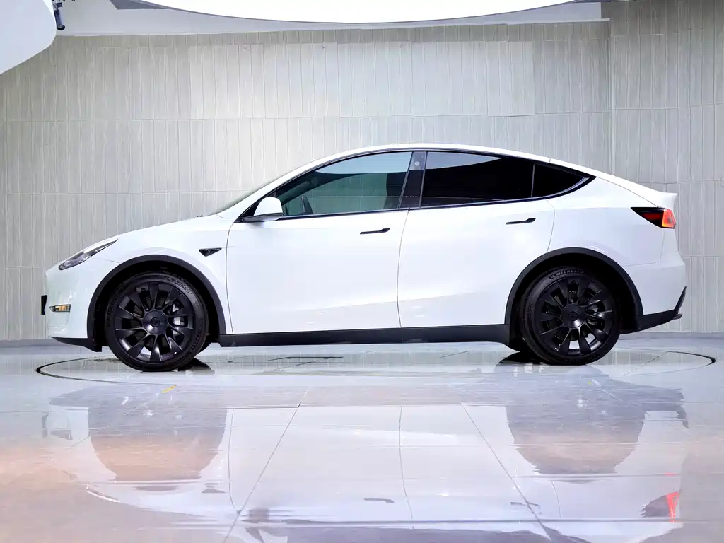 Tesla Model Y — миниатюра 4