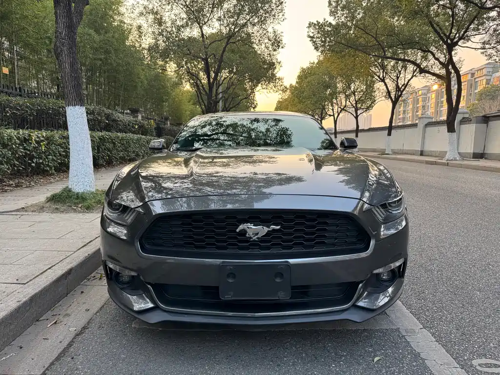 FORD MUSTANG