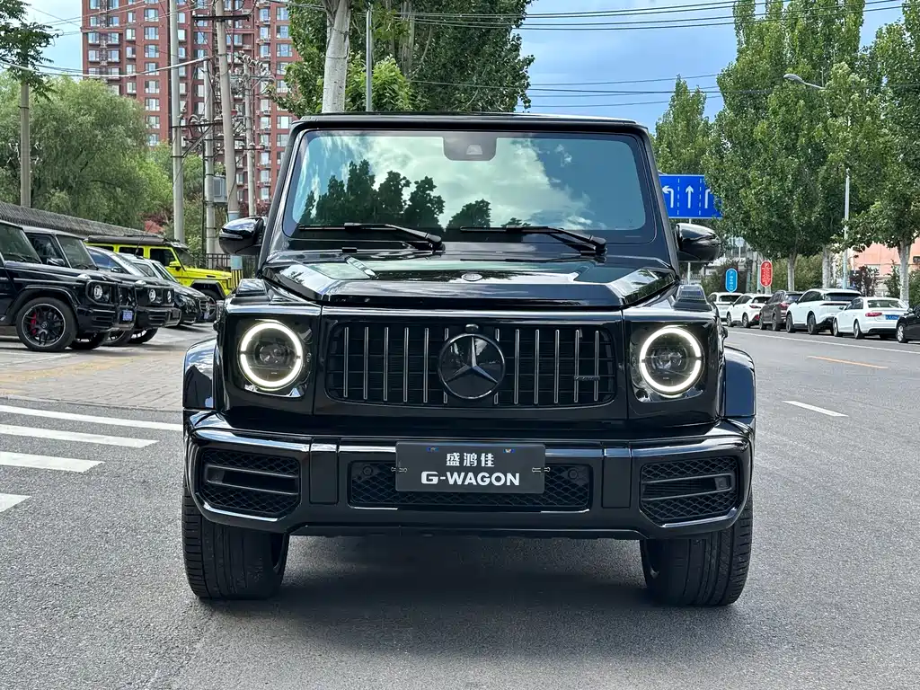 Mercedes-Benz G-Class G 2019 G 500