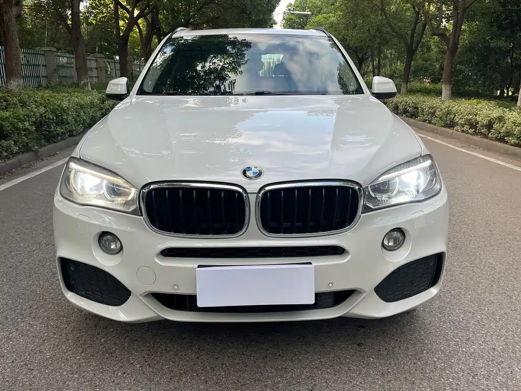 BMW X5 (Import) xDrive35i Leading Type, фото 2