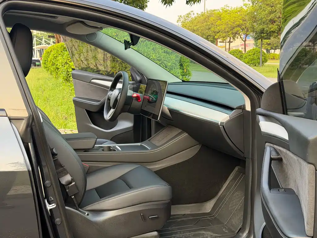 Tesla Model Y — миниатюра 6