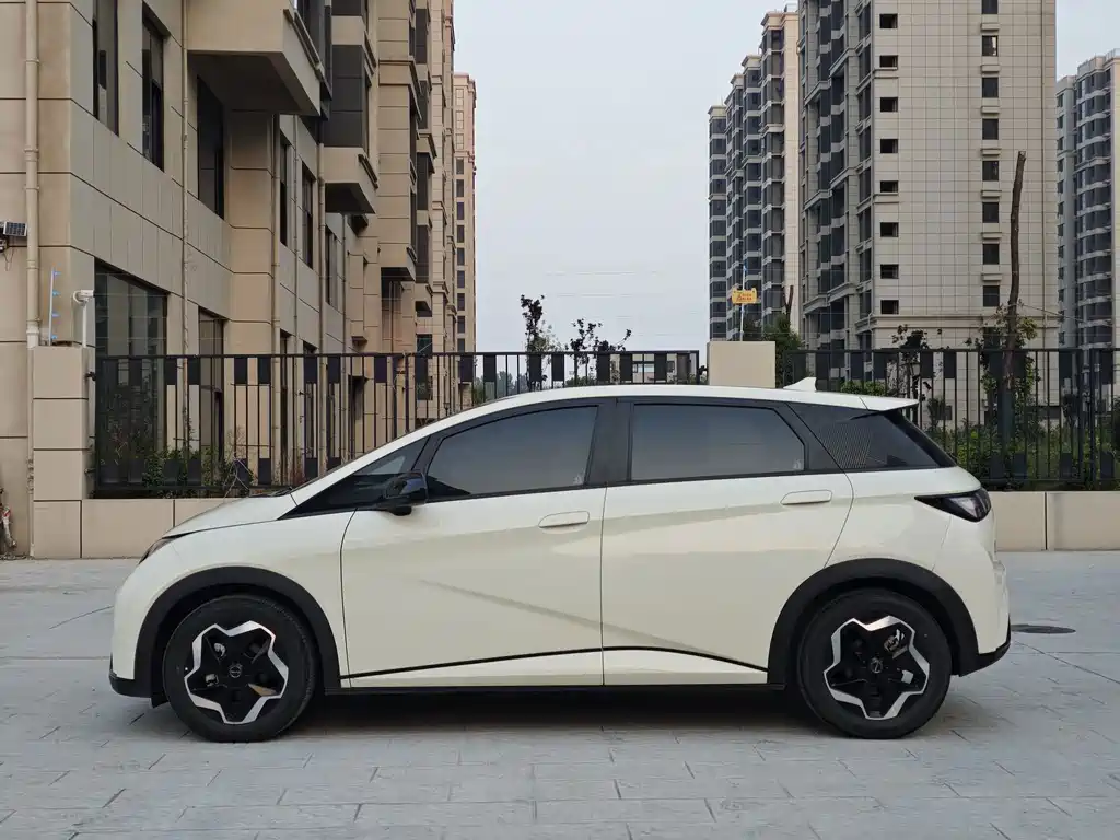 BYD Dolphin — миниатюра 4