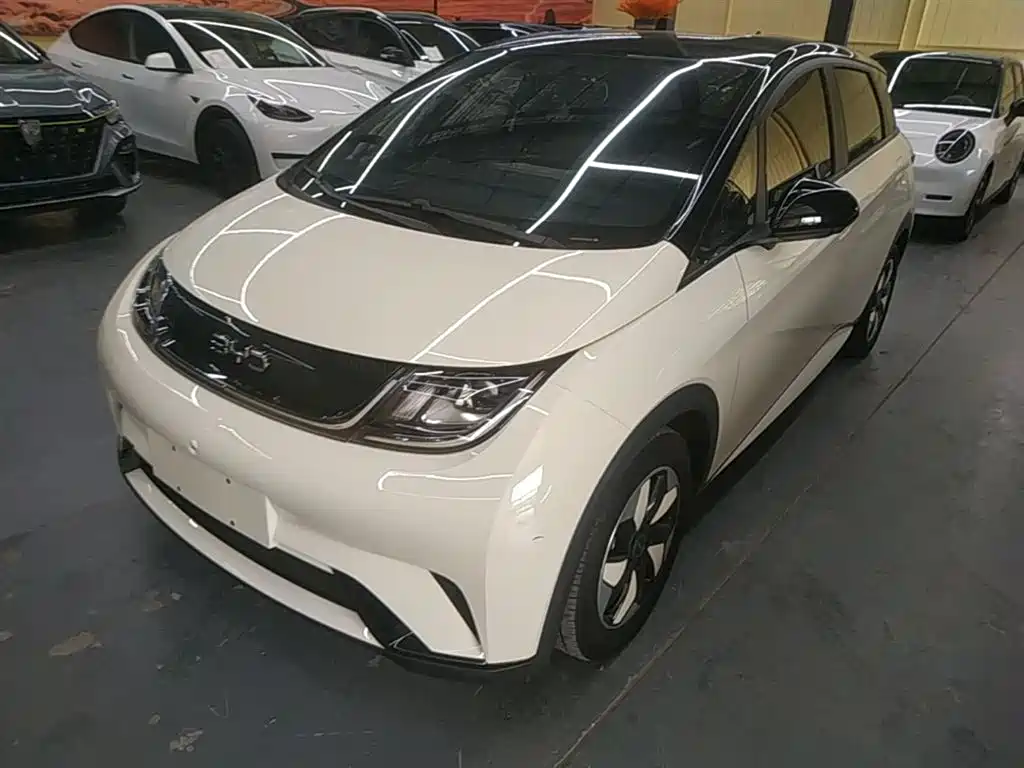 Byd Dolphin 2025