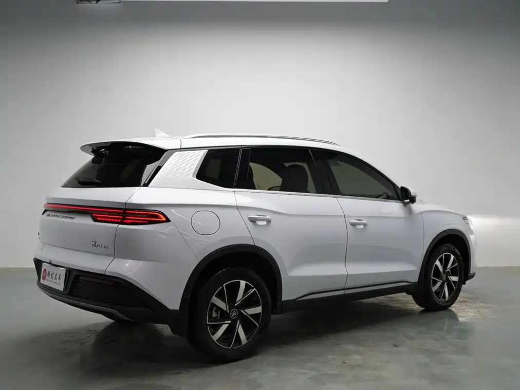 BYD Pro New Energy - фото 17