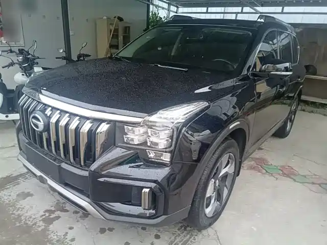 2020 GAC Trumpchi GS8