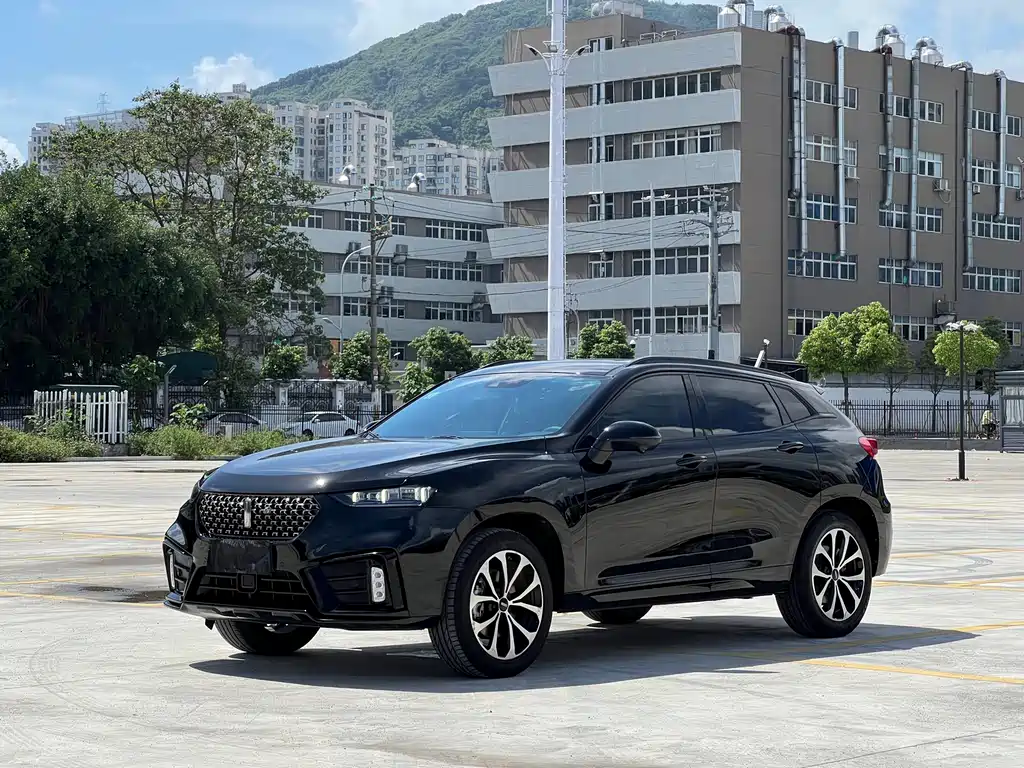 Wey Wey VV7 2021