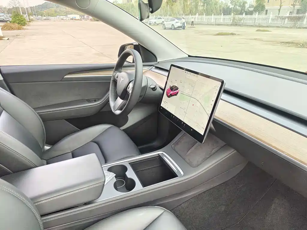 Tesla Model Y — миниатюра 14