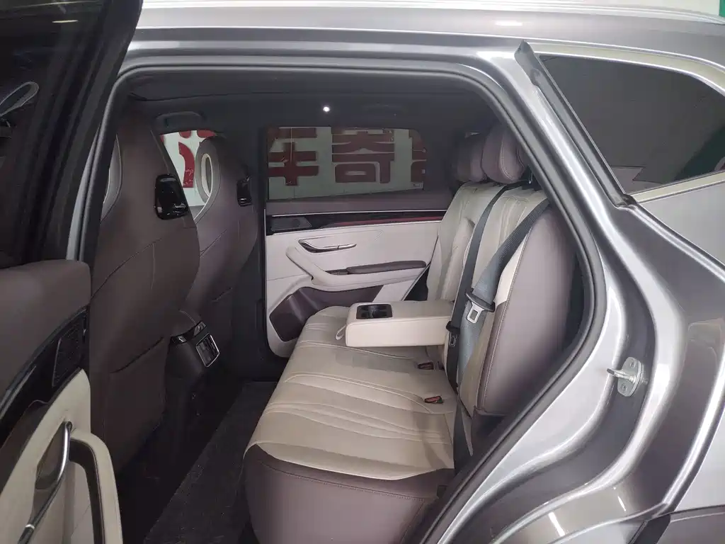 BYD PLUS New Energy — миниатюра 5