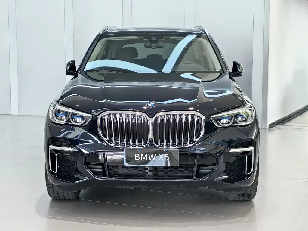 BMW X5 2022 xDrive 30Li Premium M Sport