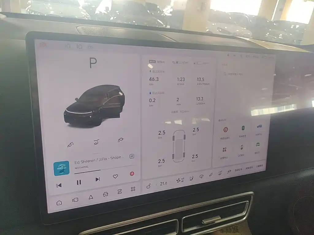 Li Auto Li L8 — миниатюра 13