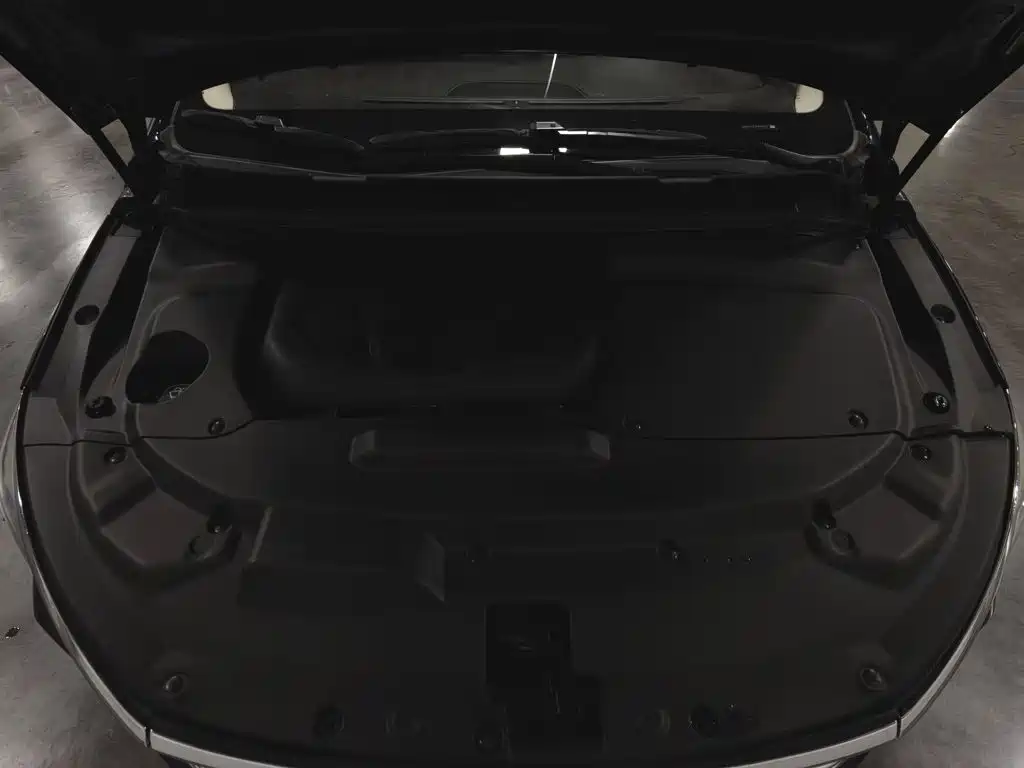 BYD MAX — миниатюра 6