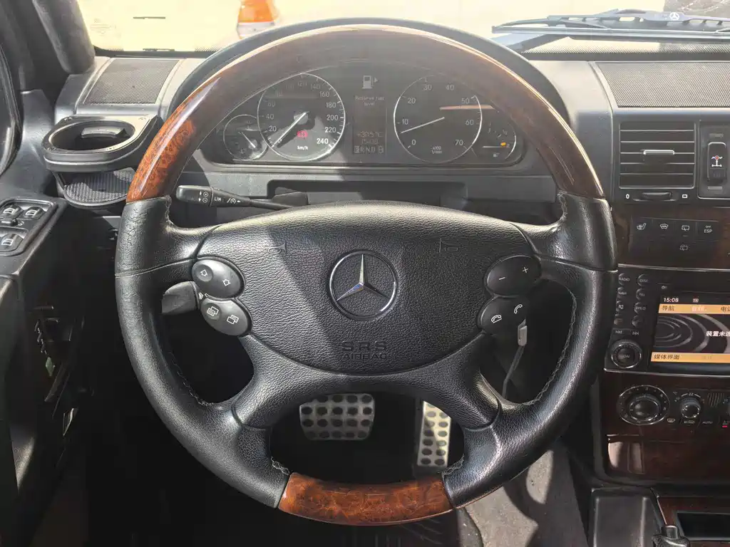 Mercedes-Benz G-Class G 2010 G 500