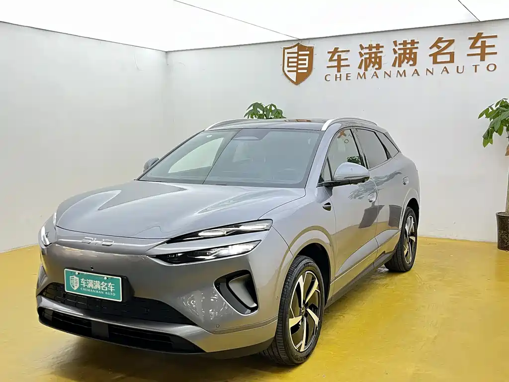 Byd 海狮06 2025