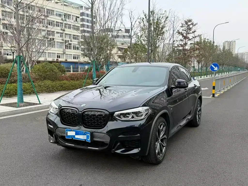 BMW X4 2020 xDrive25i M Sport