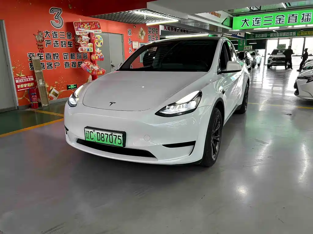 Tesla Model Y 2024