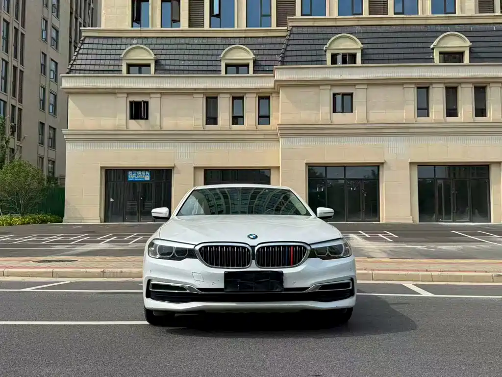BMW 5 Series 5 2019 530Li Lead Luxury