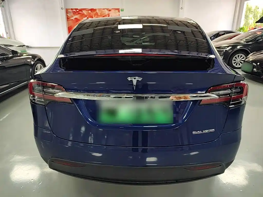 Tesla Model X 2019 Performance