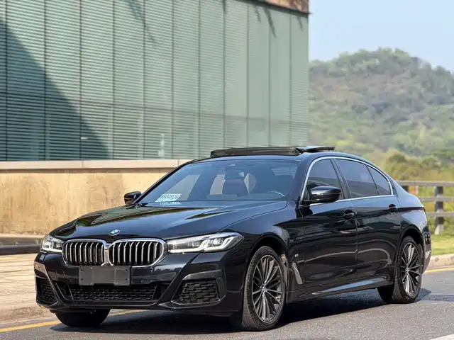 BMW 5 SERIES