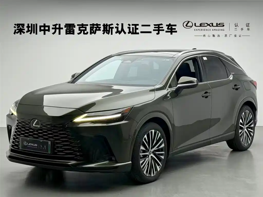 LEXUS RX NEW ENERGY