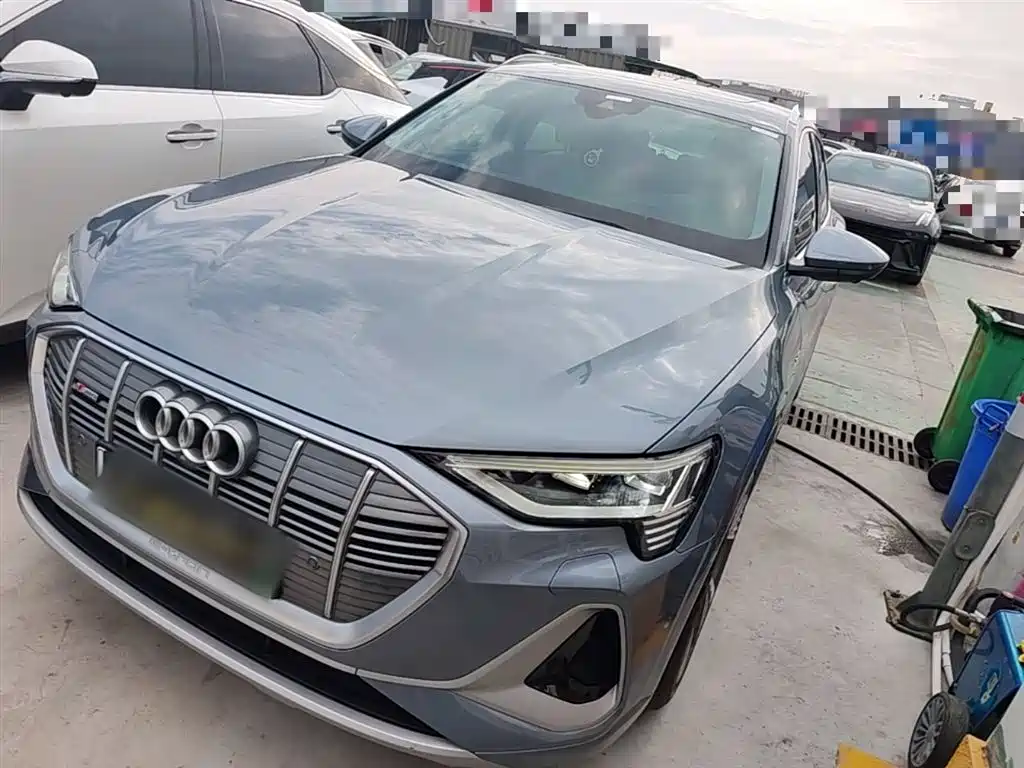 Audi e-tron 2021 50 quattro Premium Type