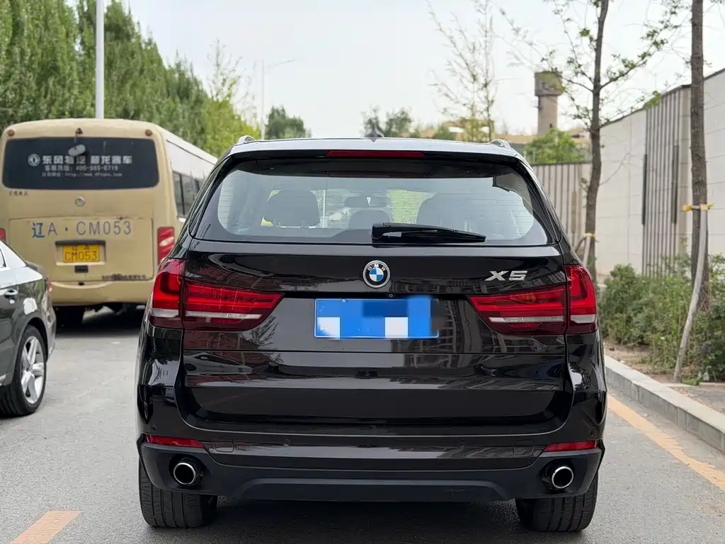 BMW X5 2014 xDrive35i Lead