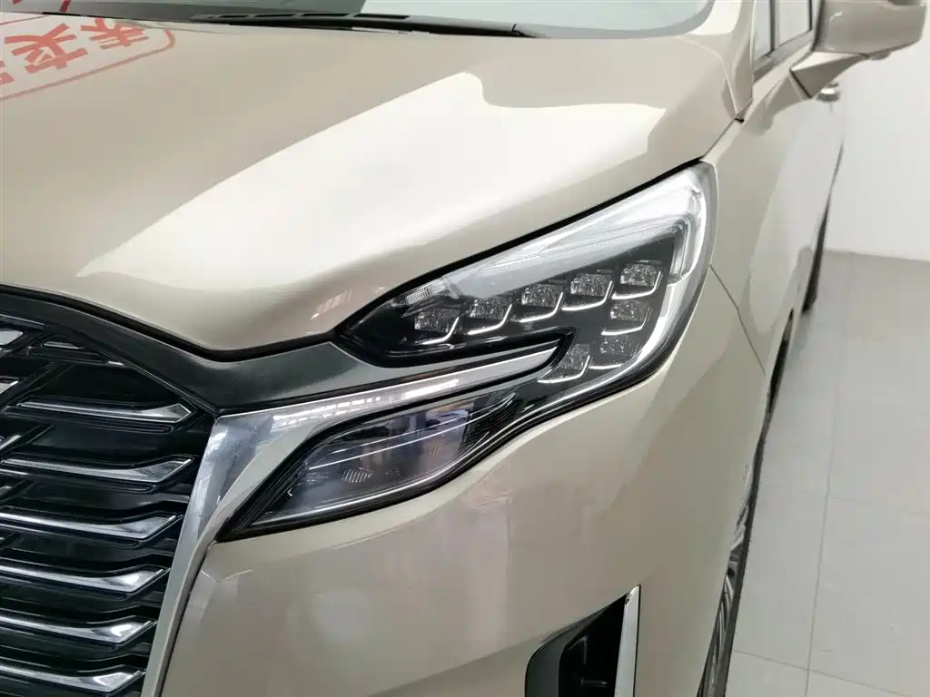 Buick GL8 2023 ES Luxury