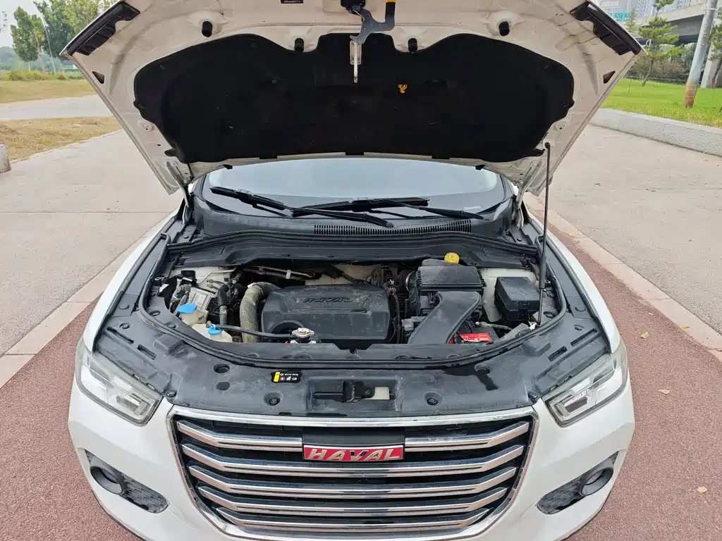 Haval H2s — миниатюра 15