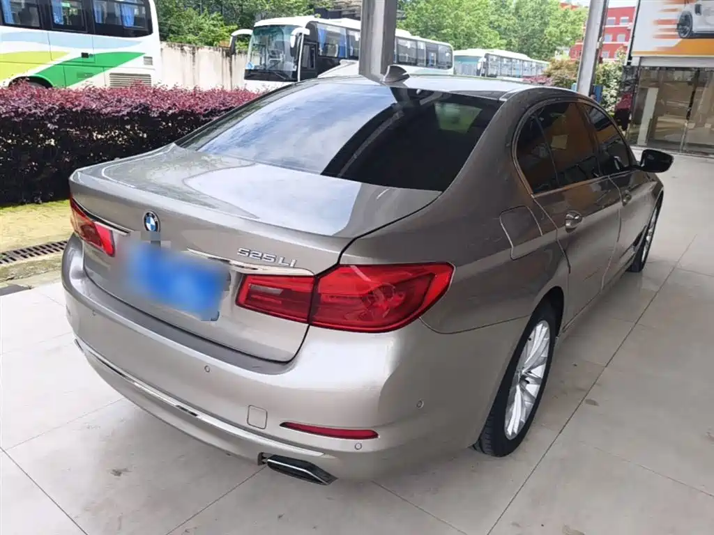 BMW 5 Series 5 2019 525Li Luxury