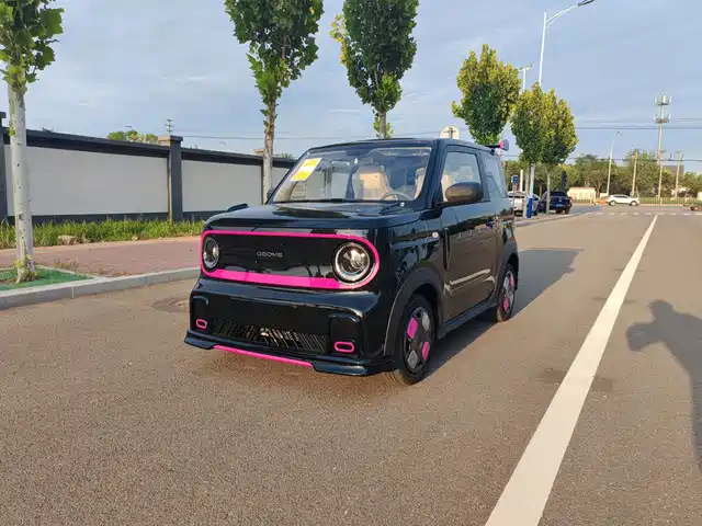 GEELY GALAXY PANDA 2025