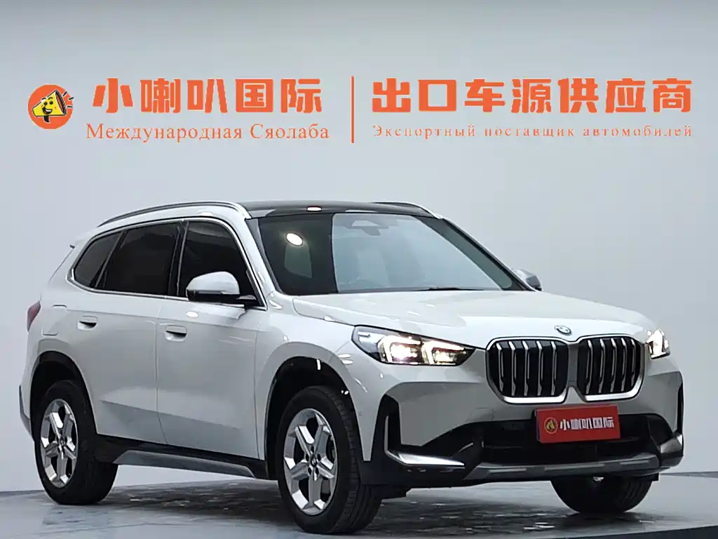 BMW X1 2023 sDrive20Li X