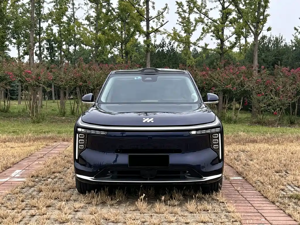 IM IM LS9 — миниатюра 2