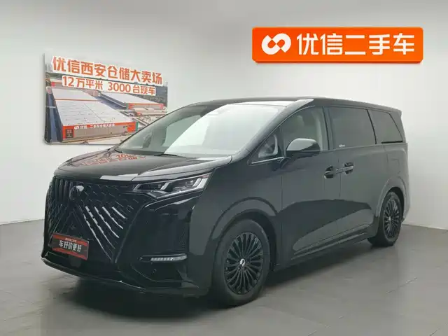 2023 Denza D9