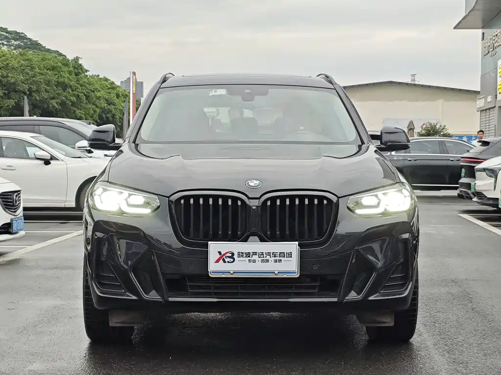 BMW X3 — миниатюра 2